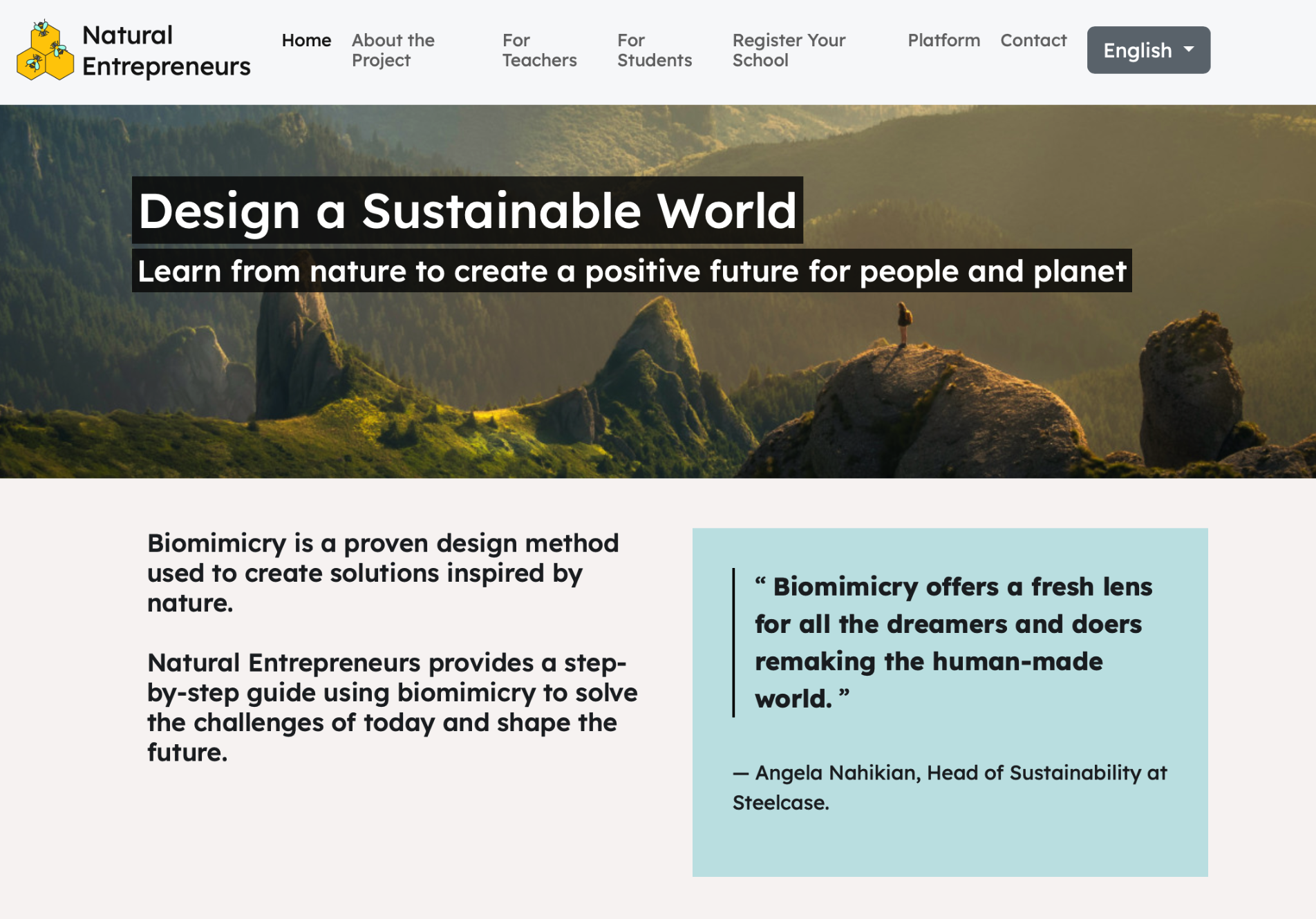A screenshot from the Natural Entrepreneurs collaboration platform 